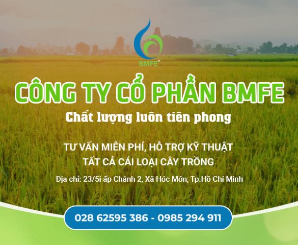ក្រុមហ៊ុនភាគហ៊ុនរួម BMFE