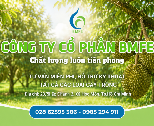 Công Ty Cổ Phần BMFE