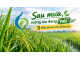Sau mưa, ruộng lúa đang “nói” gì? 5 điều bà con cần kiểm tra