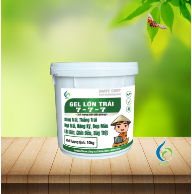 GEL LỚN TRÁI 7-7-7 – Giúp trái lớn nhanh, bóng đẹp, nâng cao chất lượng nông sản