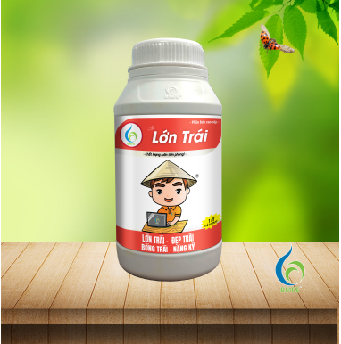 Lớn Trái Calful 1 lít (LỚN TRÁI - ĐẸP TRÁI BÓNG TRÁI - NẶNG KÝ)
