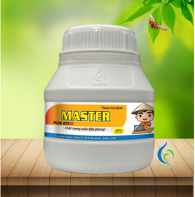 Master Plus BMFE 300ml