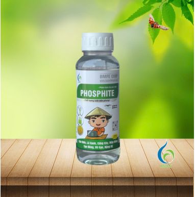 PHOSPHITE – PHÂN BÓN LÁ CAO CẤP, GIÚP LÚA CHÍN, LÁ XANH, CỨNG CÂY, MẬP ĐỒNG, VỎ GẠO NẶNG KÝ