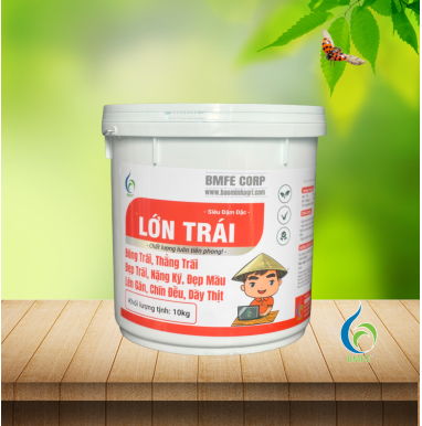 LỚN TRÁI 10kg | Giải Pháp Siêu Đậm Đặc Giúp Trái To, Đẹp, Chín Đều!