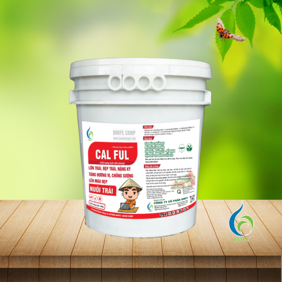 Xô CAL FUL – Giải pháp nuôi trái, lớn trái, đẹp trái cho năng suất cao