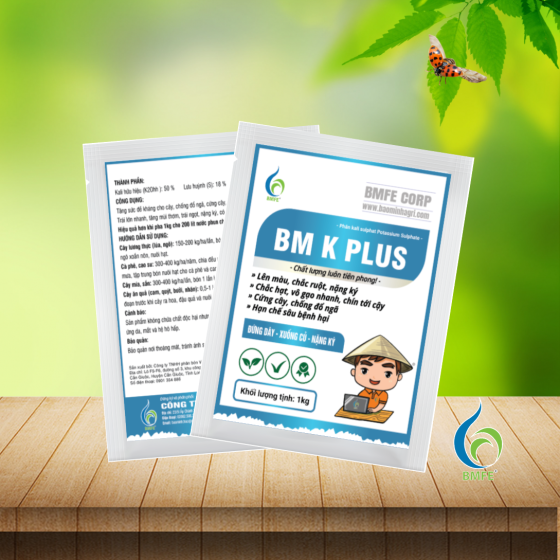BM K PLUS (Kali Sunphat) – Giải pháp tăng năng suất, chắc hạt, nặng ký cho cây trồng