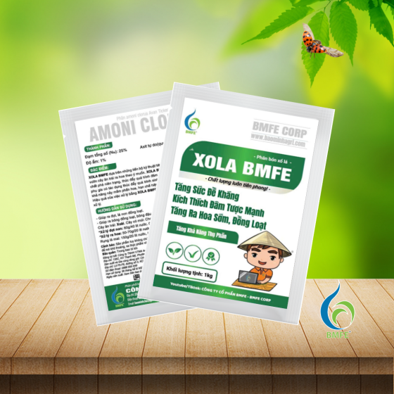XOLA BMFE – Giải pháp kỹ thuật tiên tiến giúp cây ra đọt mạnh, ra hoa sớm và đồng loạt