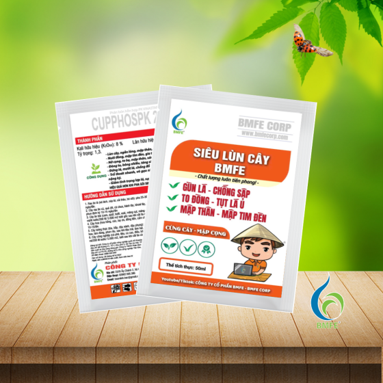 Siêu Lùn Cây BMFE – Giải pháp giúp cây cứng cáp, lá gùn, chống đổ ngã hiệu quả