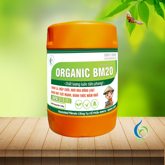 Can 30-10-10 BMFE | Xanh lá, Mập Chồi, Ra Hoa Đồng Loạt (Organic BM20 22kg)