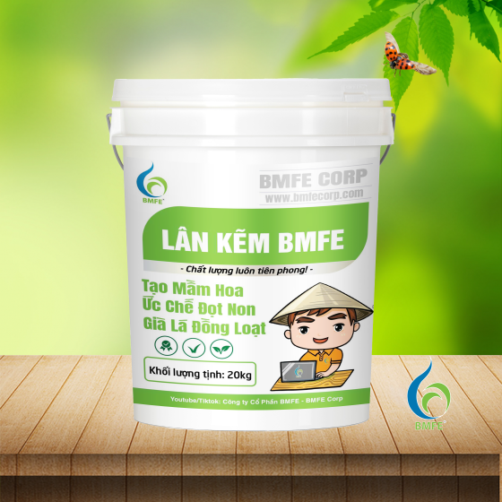 Lân Kẽm BM 20kg, 10kg & 500g | Tạo Mầm Hoa, Ức Chế Đọt Non
