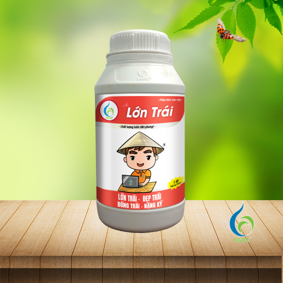 Lớn Trái Calful 500ml (LỚN TRÁI - ĐẸP TRÁI BÓNG TRÁI - NẶNG KÝ)